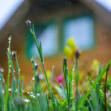 Miris Dunja Tara Apartman Sljivovica (Zlatibor)