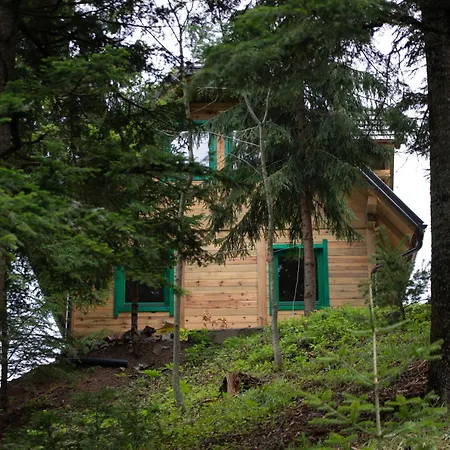 Miris Dunja Tara Sljivovica (Zlatibor)