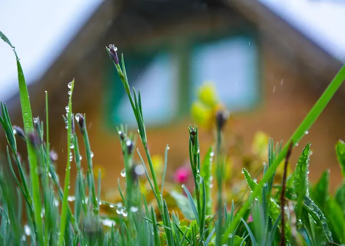 Miris Dunja Tara شقة Sljivovica (Zlatibor)
