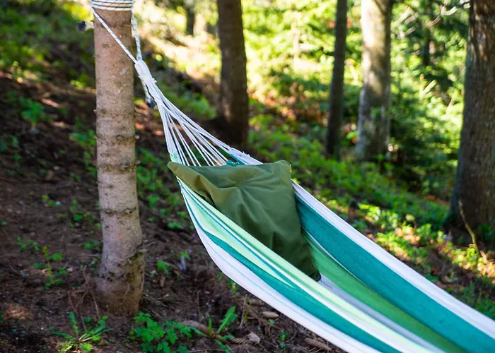 Miris Dunja Tara * Sljivovica (Zlatibor)