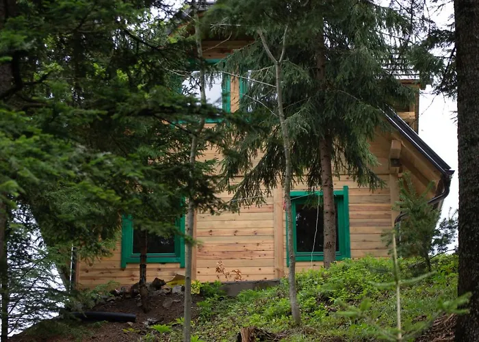 Miris Dunja Tara Sljivovica (Zlatibor)