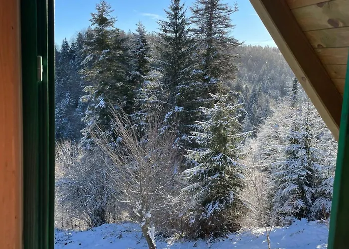 Miris Dunja Tara شقة *